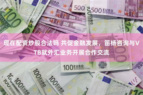 现在配资炒股合法吗 共促金融发展，笛杨咨询与VTB就外汇业务开展合作交流