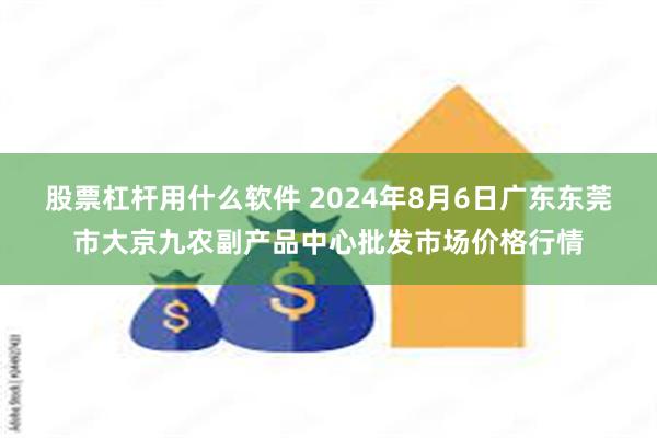 股票杠杆用什么软件 2024年8月6日广东东莞市大京九农副产品中心批发市场价格行情