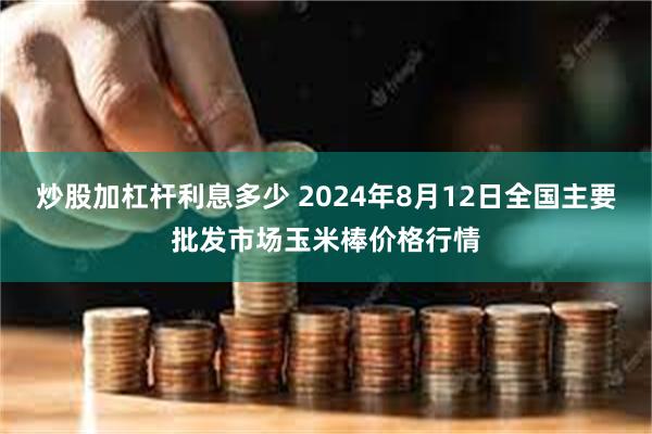 炒股加杠杆利息多少 2024年8月12日全国主要批发市场玉米棒价格行情