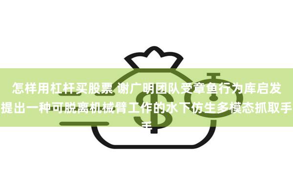 怎样用杠杆买股票 谢广明团队受章鱼行为库启发提出一种可脱离机械臂工作的水下仿生多模态抓取手