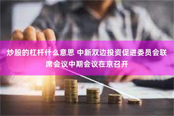 炒股的杠杆什么意思 中新双边投资促进委员会联席会议中期会议在京召开