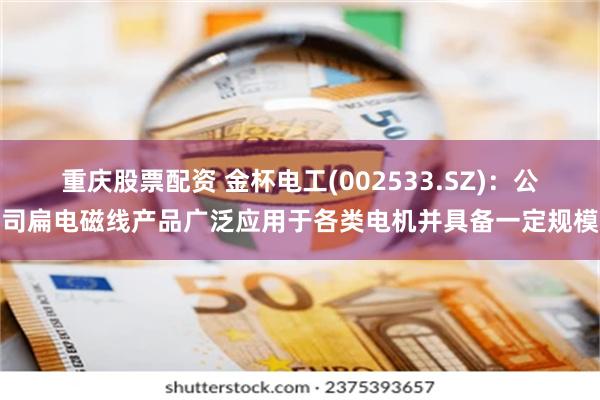 重庆股票配资 金杯电工(002533.SZ)：公司扁电磁线产品广泛应用于各类电机并具备一定规模