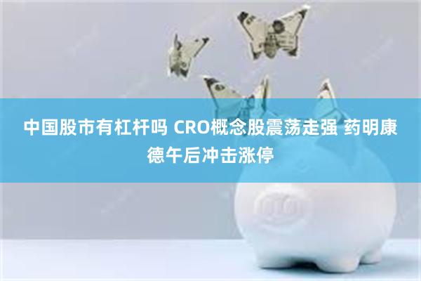 中国股市有杠杆吗 CRO概念股震荡走强 药明康德午后冲击涨停